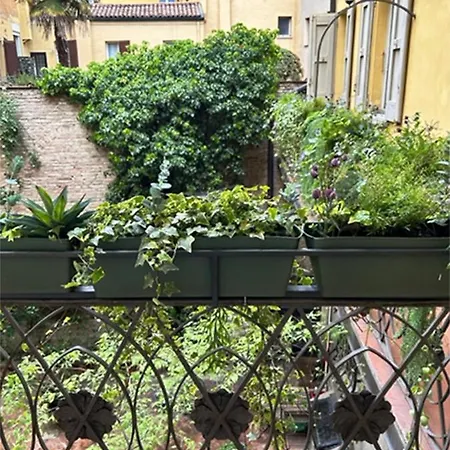 Castellata La Panzió Bologna